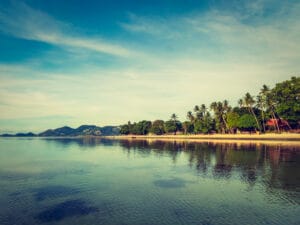Scenario-wedding-planner