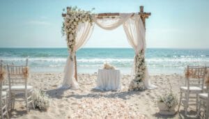luxury wedding planner