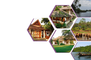 bespoke wedding planning