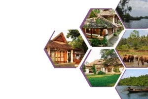 bespoke wedding planning