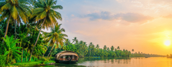 Kerala Wedding Planner