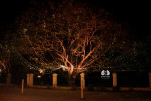 Kerala Wedding Planner