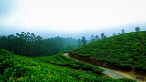 Hill Station kerala